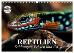 Reptilien. Schlangen, Echsen und Co. (Wandkalender 2026 DIN A3 quer), CALVENDO Monatskalender