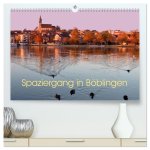 Spaziergang in Böblingen (hochwertiger Premium Wandkalender 2026 DIN A2 quer), Kunstdruck in Hochglanz