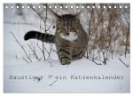 Haustiger - Ein Katzenkalender (Tischkalender 2026 DIN A5 quer), CALVENDO Monatskalender