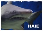 Haie (Wandkalender 2026 DIN A3 quer), CALVENDO Monatskalender