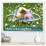 Meerschweinchen. Geliebte Nager (hochwertiger Premium Wandkalender 2026 DIN A2 quer), Kunstdruck in Hochglanz