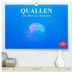 Quallen. Die Welt der Medusen (hochwertiger Premium Wandkalender 2026 DIN A2 quer), Kunstdruck in Hochglanz