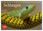 Schlangen (Tischkalender 2026 DIN A5 quer), CALVENDO Monatskalender