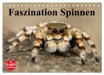 Faszination Spinnen (Tischkalender 2026 DIN A5 quer), CALVENDO Monatskalender