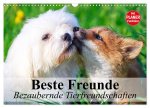 Beste Freunde. Bezaubernde Tierfreundschaften (Wandkalender 2026 DIN A3 quer), CALVENDO Monatskalender