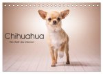 Chihuahua - Die Welt der Kleinen (Tischkalender 2026 DIN A5 quer), CALVENDO Monatskalender