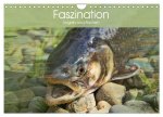 Faszination Angeln und Fischen (Wandkalender 2026 DIN A4 quer), CALVENDO Monatskalender
