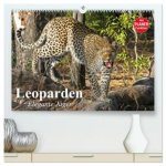 Leoparden. Elegante Jäger (hochwertiger Premium Wandkalender 2026 DIN A2 quer), Kunstdruck in Hochglanz