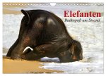 Elefanten. Badespaß am Strand (Wandkalender 2026 DIN A4 quer), CALVENDO Monatskalender