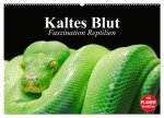 Kaltes Blut. Faszination Reptilien (Wandkalender 2026 DIN A2 quer), CALVENDO Monatskalender
