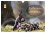 Eichhörnchen - Lustige Kurzgeschichten mit den quirligen Wildtieren (Wandkalender 2026 DIN A4 quer), CALVENDO Monatskalender