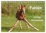 Fohlen - Lustige Pferdekinder (Tischkalender 2026 DIN A5 quer), CALVENDO Monatskalender
