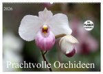 Prachtvolle Orchideen (Wandkalender 2026 DIN A2 quer), CALVENDO Monatskalender