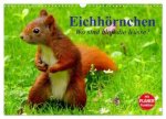 Eichhörnchen. Wo sind bloß die Nüsse? (Wandkalender 2026 DIN A3 quer), CALVENDO Monatskalender