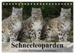 Schneeleoparden. Perfekte Raubkatzen-Schönheiten (Tischkalender 2026 DIN A5 quer), CALVENDO Monatskalender