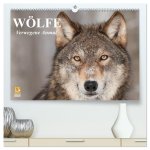 Wölfe. Verwegene Anmut (hochwertiger Premium Wandkalender 2026 DIN A2 quer), Kunstdruck in Hochglanz