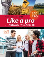 Anglais bac pro - Like a pro