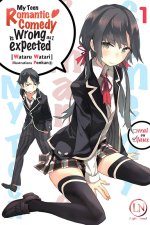 My teen romantic Comedy