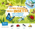 mia scatola degli insetti con 4 insetti da scoprire