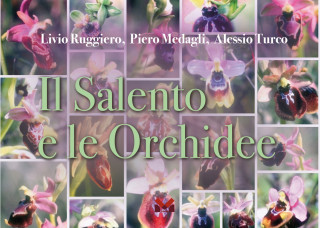 Salento e le orchidee