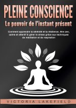PLEINE CONSCIENCE POUVOIR DE INSTANT PRE