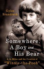 SOMEWHERE A BOY & HIS BEAR