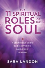 11 SPIRITUAL ROLES OF THE SOUL