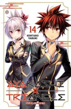 Ayakashi triangle