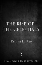 Untitled Rao Book 2