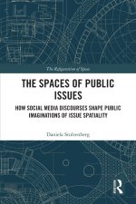 Spaces of Public Issues