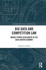 Big Data and Competition Law