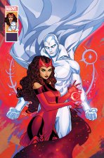 VISION & THE SCARLET WITCH