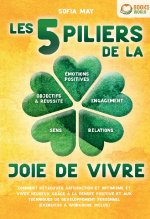TROUBLE BORDERLINE LIVRE D AUTO ASSISTAN