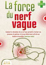 FORCE DU NERF VAGUE