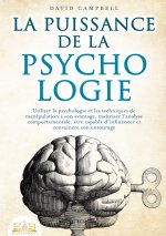 PUISSANCE DE PSYCHOLOGIE