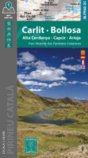 CARLIT - BOLLOSA