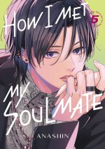 HOW I MET MY SOULMATE V05