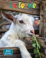 Les animaux de la ferme