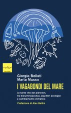 vagabondi del mare. Le tante vite del plancton, tra bioluminescenza, equilibri ecologici e cambiamento climatico