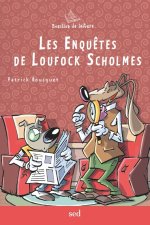 LES ENQUÊTES DE LOUFOCK SCHOLMES - 1 roman
