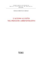 accesso al fatto nel processo amministrativo