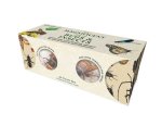MAGNIFICENT BOX OF BUGS & INSECTS