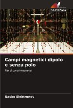 Campi magnetici dipolo e senza polo
