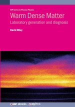 Warm Dense Matter