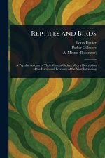 Reptiles and Birds