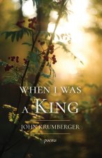 When I Was a King