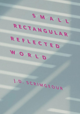 Small, Rectangular, Reflected World