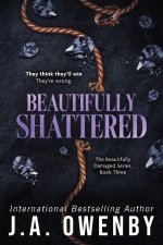 Beautifully Shattered