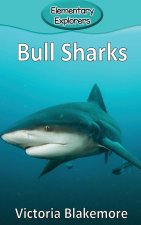 Bull Sharks