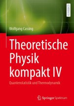 Theoretische Physik kompakt IV